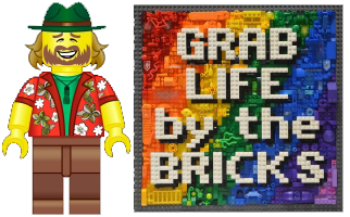 Grab Life by the Bricks